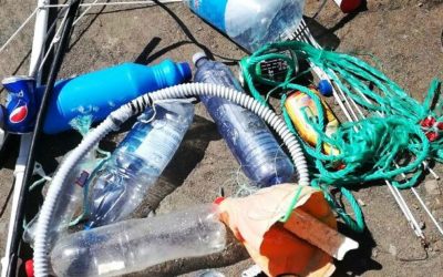 Ocean Gardener 2 – 14 easy daily actions against plastic pollution