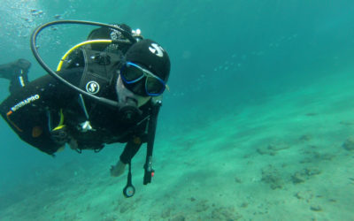 PADI Scuba Diver Course