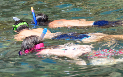 Snorkel Experience