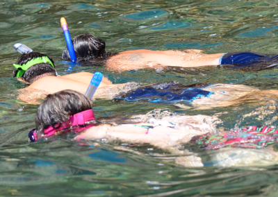Snorkel Experience