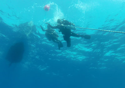 PADI Tec Sidemount