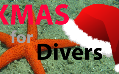 10 Special Christmas Gifts For Divers