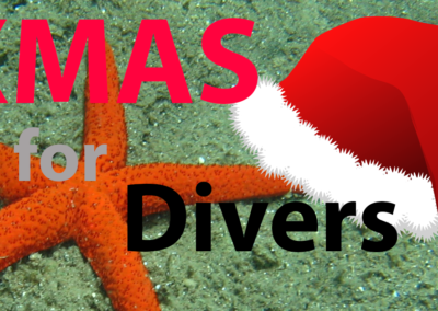 10 Special Christmas Gifts For Divers