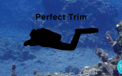 Buoyancy Sessions 4 – Improve your trim