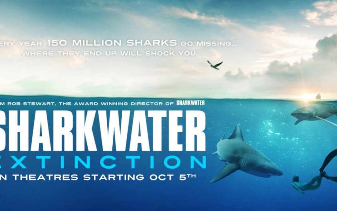 Good News – Sharkwater 2 Will Be Completed