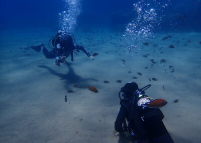 Why to become a PADI Dive Instructor and how to find the right PADI 5 Star IDC Centre?