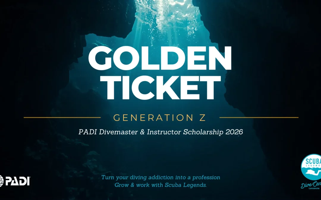 PADI Divemaster & Instructor Scholarship 2026
